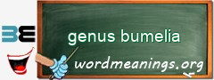 WordMeaning blackboard for genus bumelia